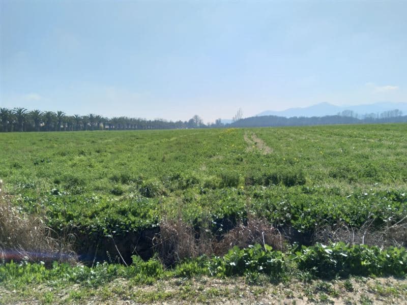 Camino Lonquen con Camino Carampangue