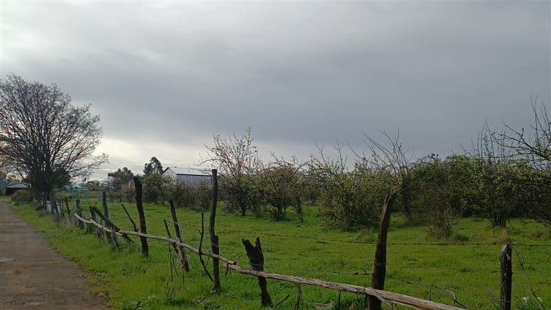 Panamericana Sur 2310, Chillán Viejo, Bío Bío