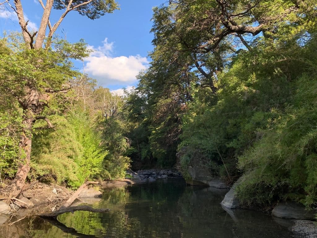 Km.56 camino a las termas de Chillan 