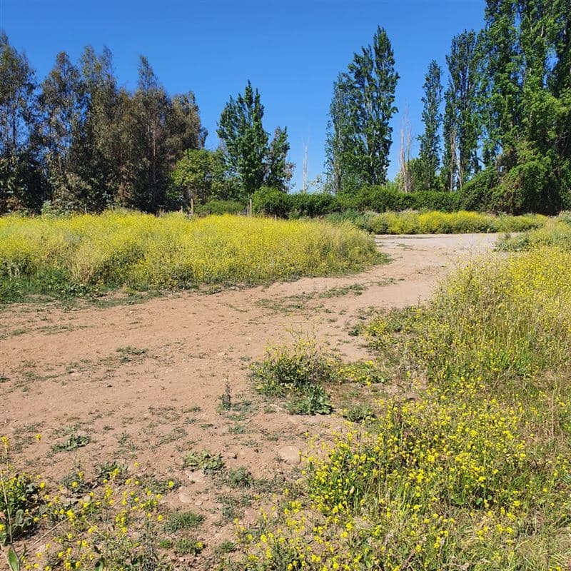 roma comuna de san Fernando