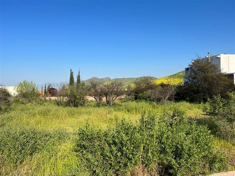 Piedra Roja - Chicureo