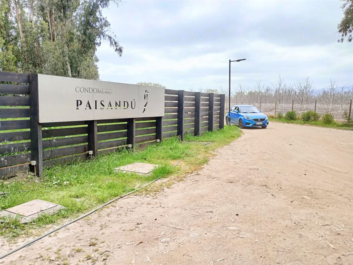 Camino carampangue