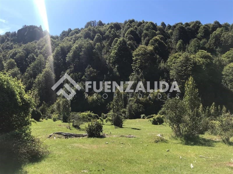 Futaleifu Piedra del Aguila