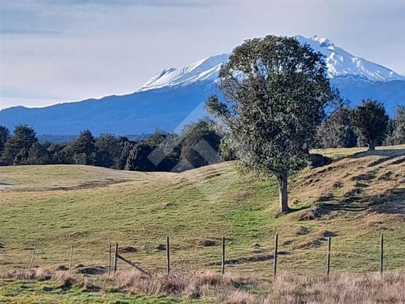 FUNDO EL COPIHUE KM 10 CAMINO A ENSENADA