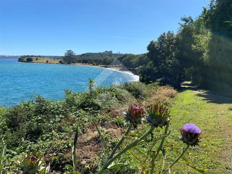 Proyecto Marina Panitao Puerto Montt