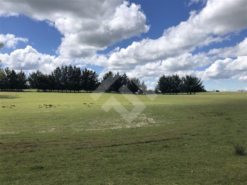 Hijuela N° 4, Lote 1 comuna de Purranque