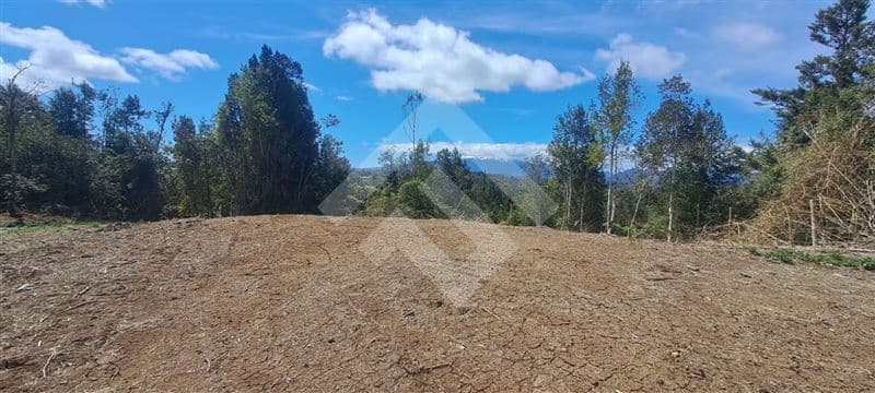 Terrazas de Neo Alerce