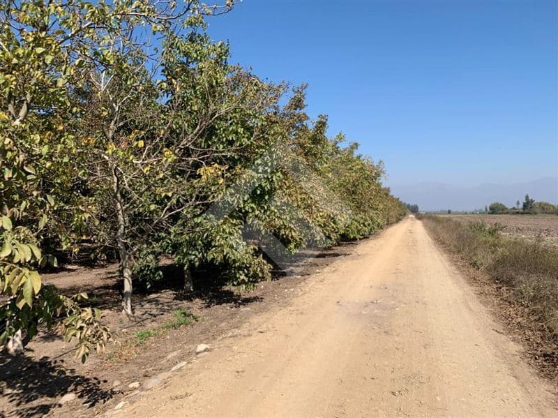 Condominio El Oliveto