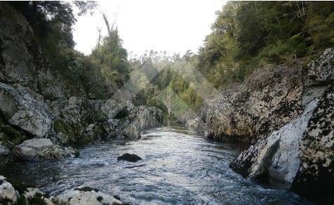 antes de salmofood, camino W-450, a 4,4 km de carretera.