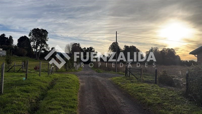 El Tepu Camino Ensenada