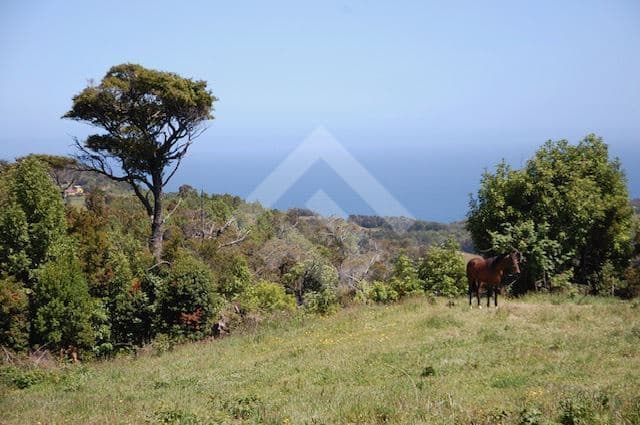 A 900 MTS DE LA CALET A ESTAQUILLA CARRETERA V626 LOS MUERMOS