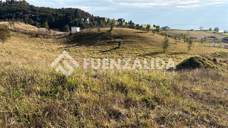 Los Riscos ruta 225