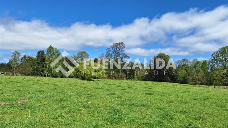 A 9 kilómetros de Fresia ruta V220