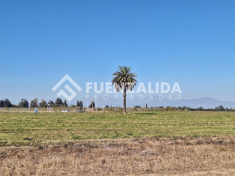 Manuel Castillo Calera de Tango Peñaflor