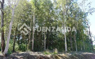 Ruta v500 km11 Pasado Nueva Braunau