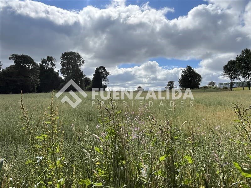 San Carlos El Ñady sin número Los Muermos