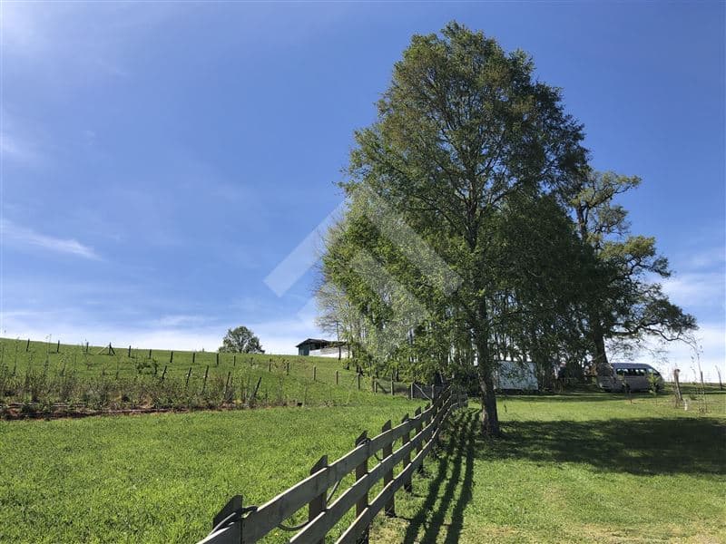 Camino Las Quemas km 6