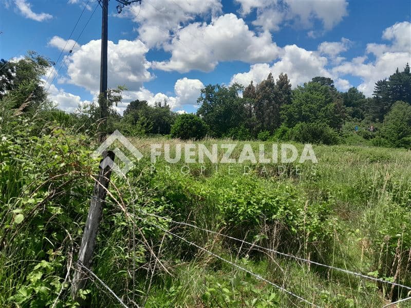 Puente Allipen, Ruta 199