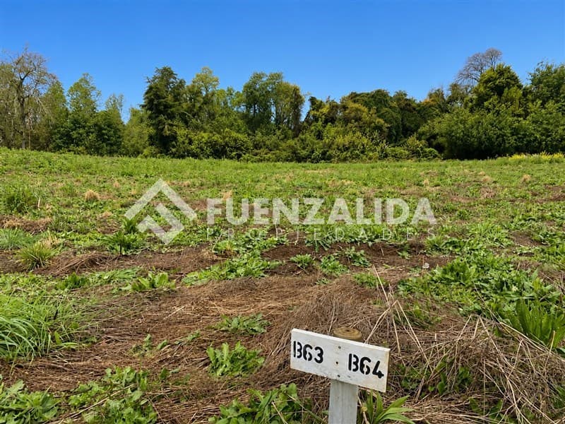 Parcelación Praderas del Pedernal Frutillar 