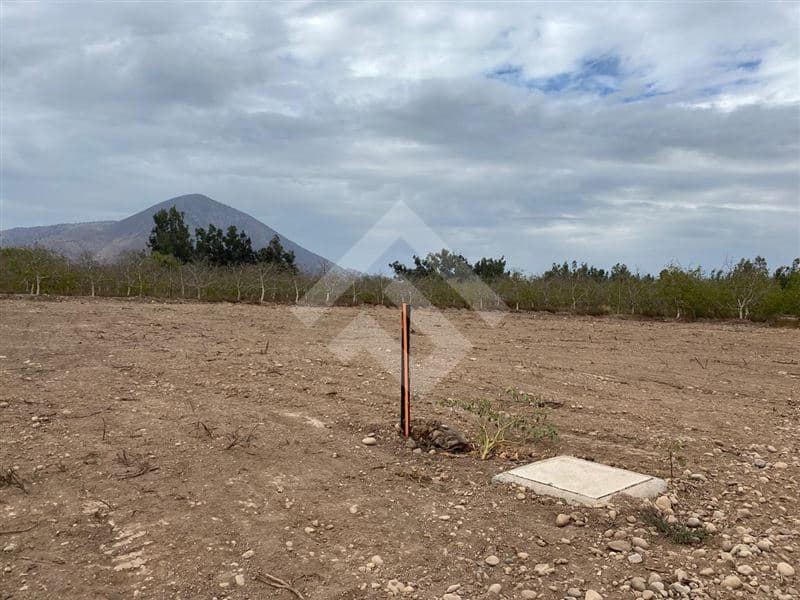 Lonquen Sur, Camino Carampangue 
