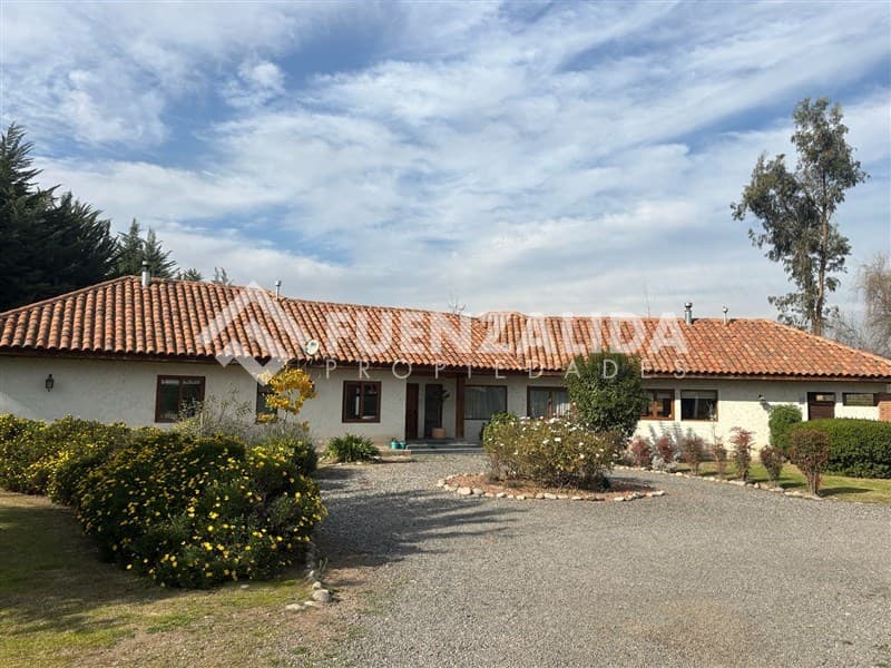 Camino El Oliveto