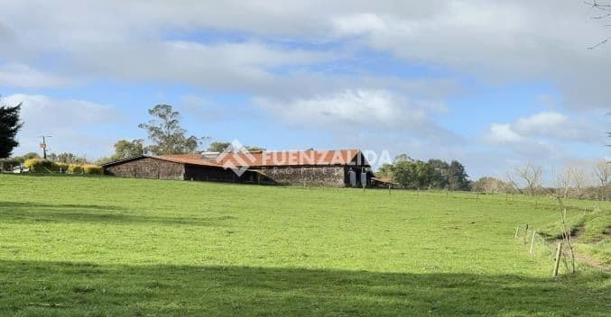 Camino Nueva Braunau hacia Loncotoro