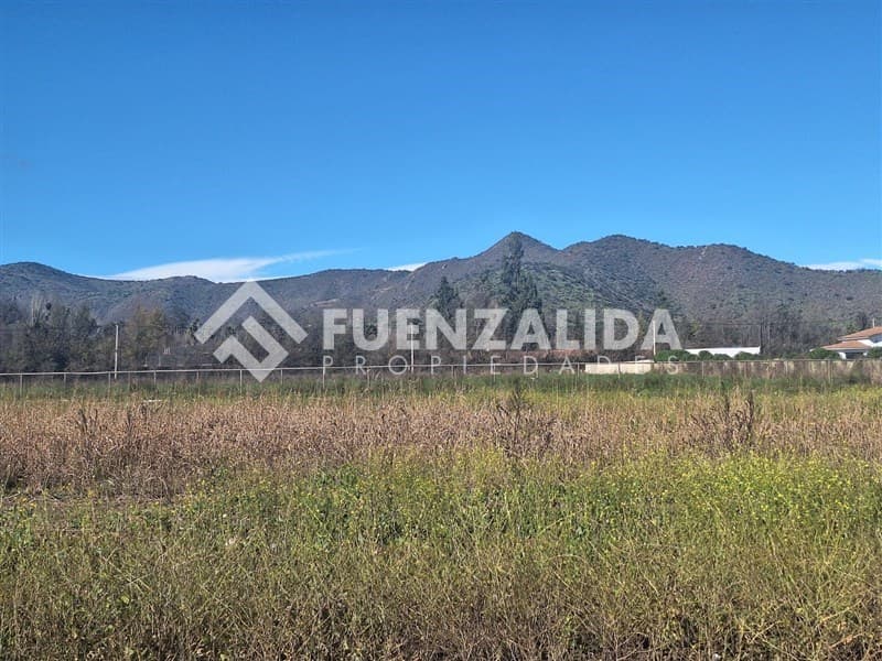 OLiveto, Lonquen Sur