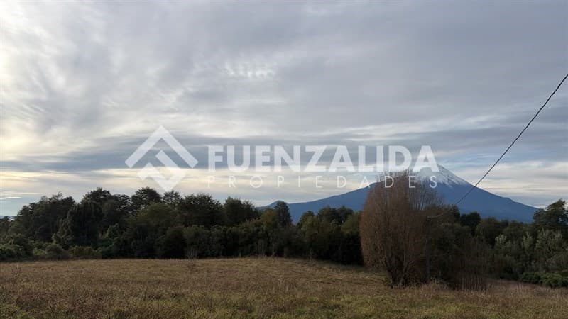 El Tepu Camino Ensenada