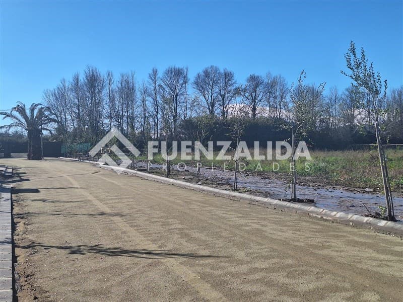 Oliveto Club de Golf 