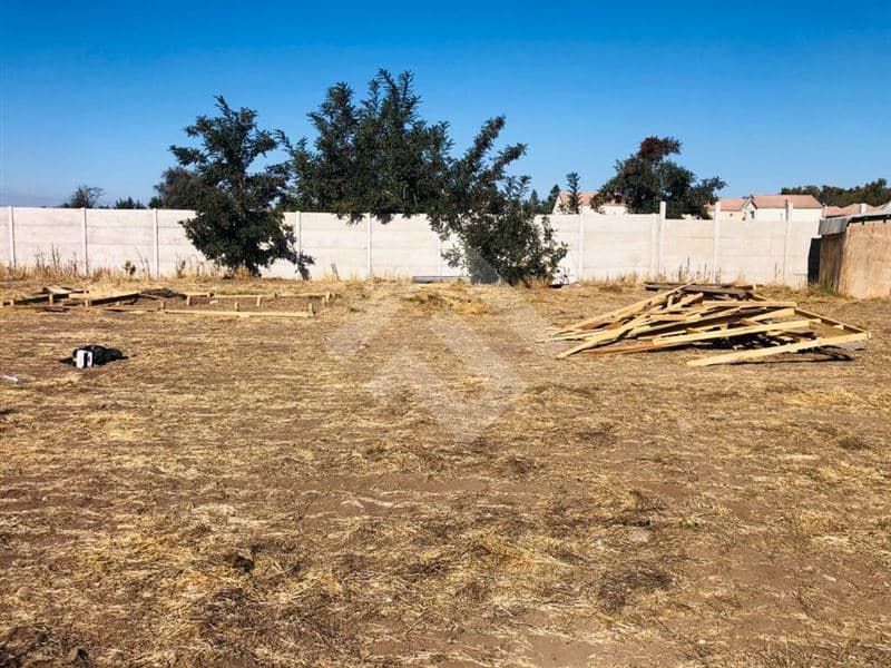 CAMINO LOS PAJARITOS