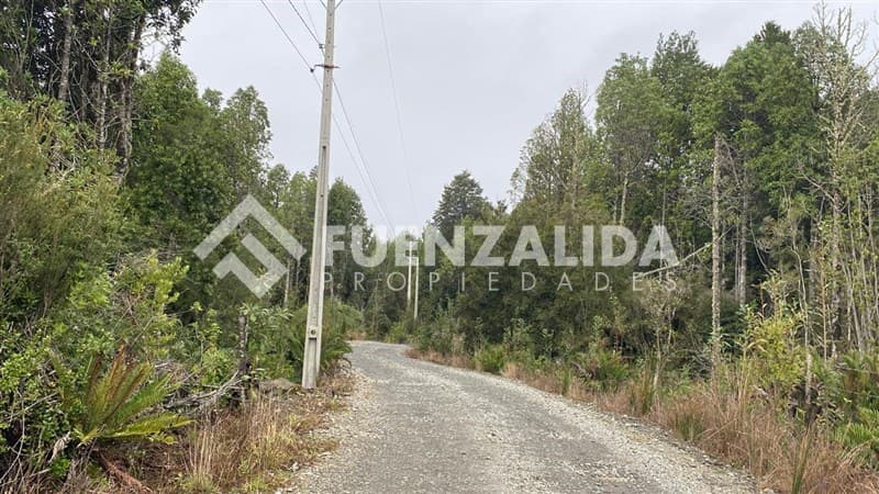 Colonia la Poza, Colonia Tres Puentes