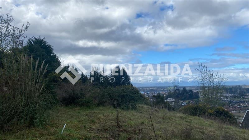 Buena Vista