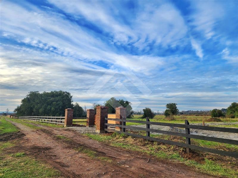 RANCO NATIVO LA UNION