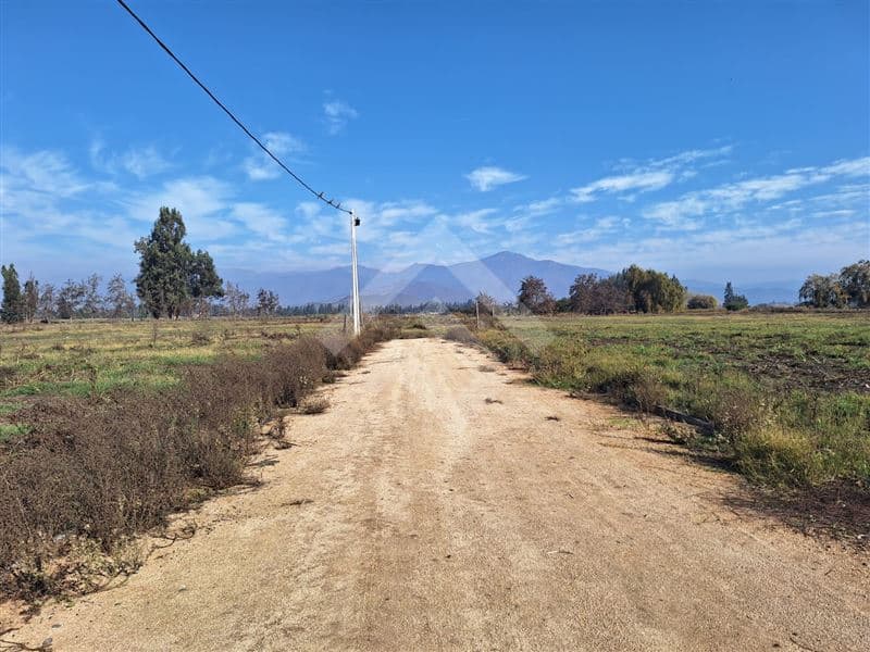 Carampangue Colegio Trebulco 