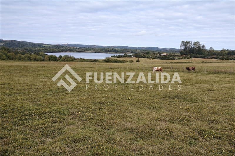 Sector Rural de Calbuco 