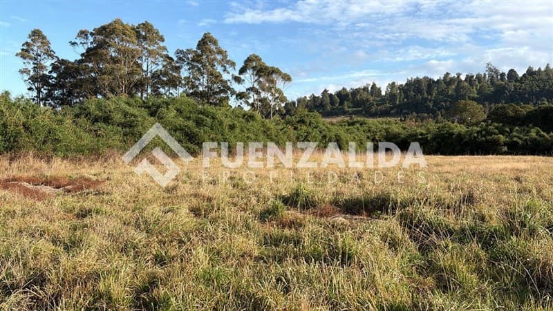 Los Riscos Puerto Varas Ruta 225