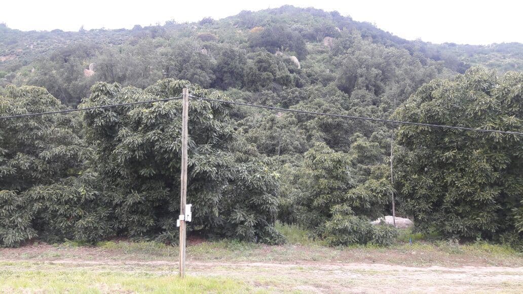 Lo Curro bajo El Canal