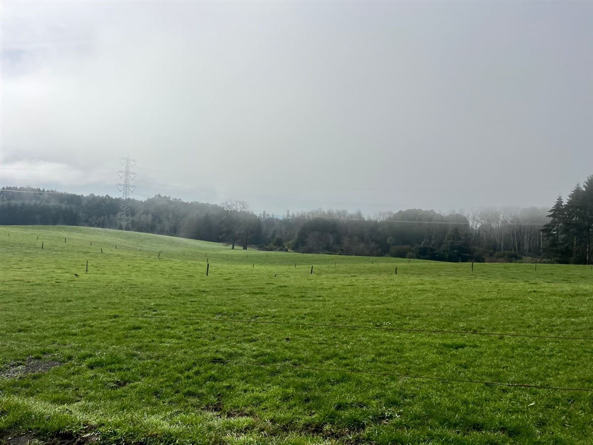 3 Km sur Poniente de Osorno