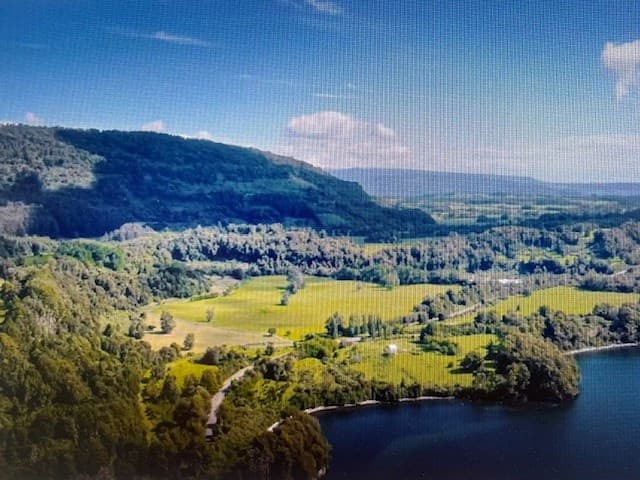 Ruta Internacional 215