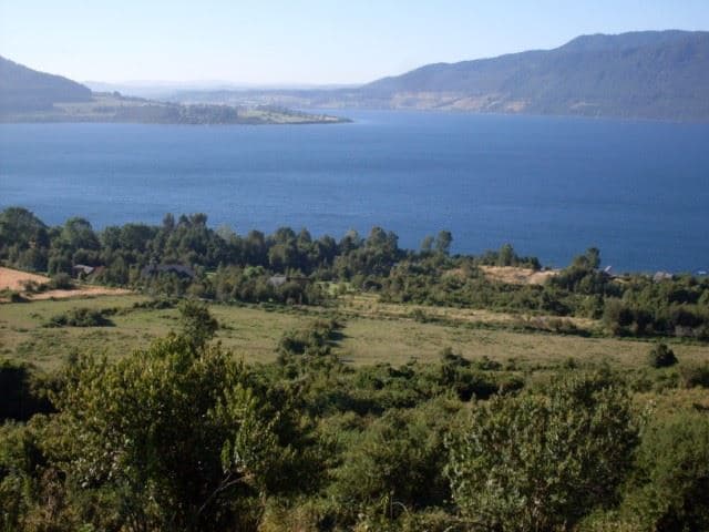 LAGO RIÑIHUE