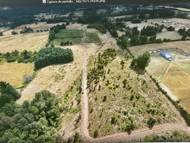 Séptima Faja camino de Villarrica a Loncoche km 16