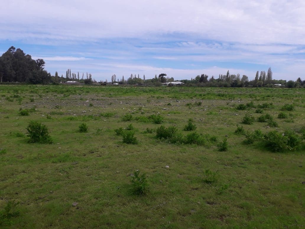 AV. BALMACEDA / CHANQUICO