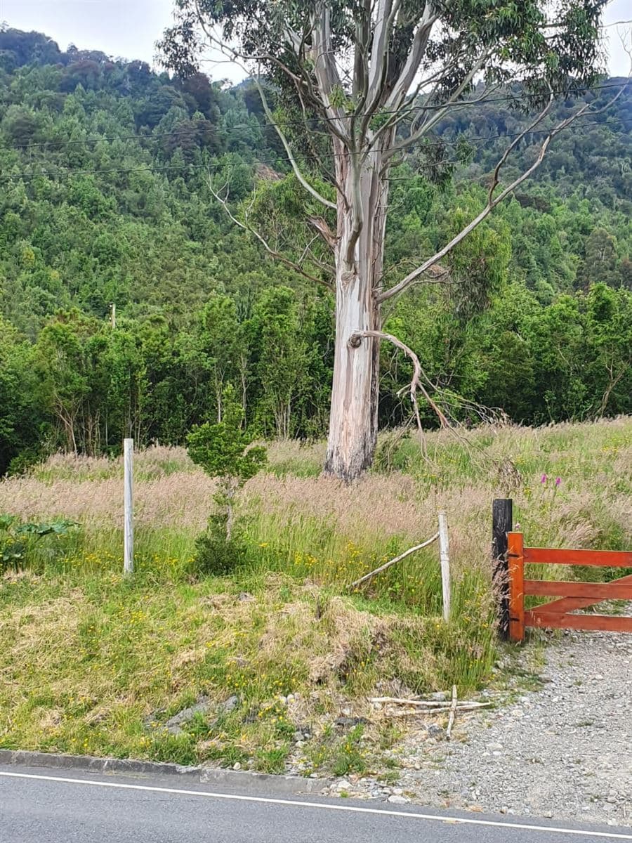 Carretera Austral /CHAICAS
