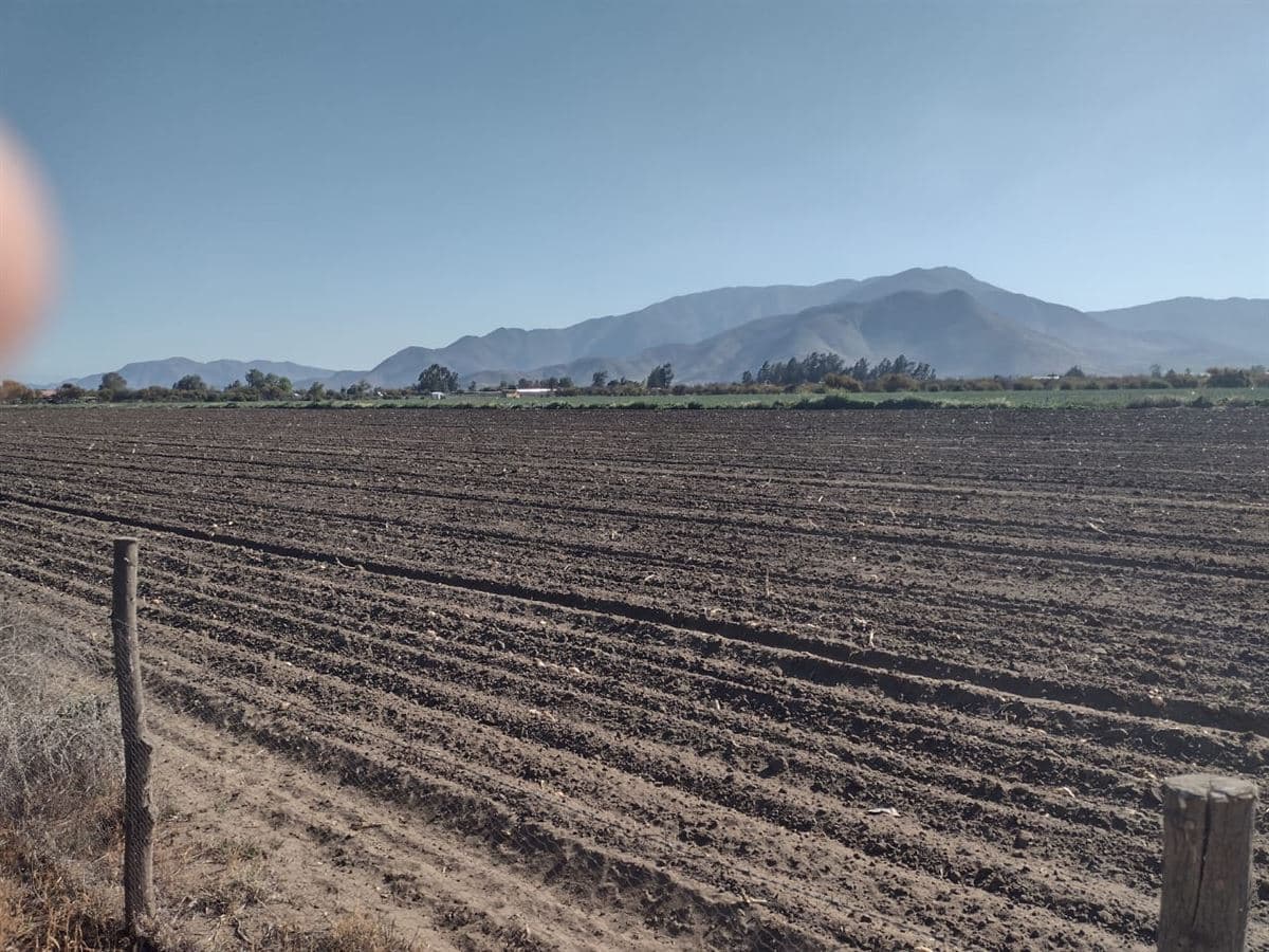 Lampa camino al Noviciado