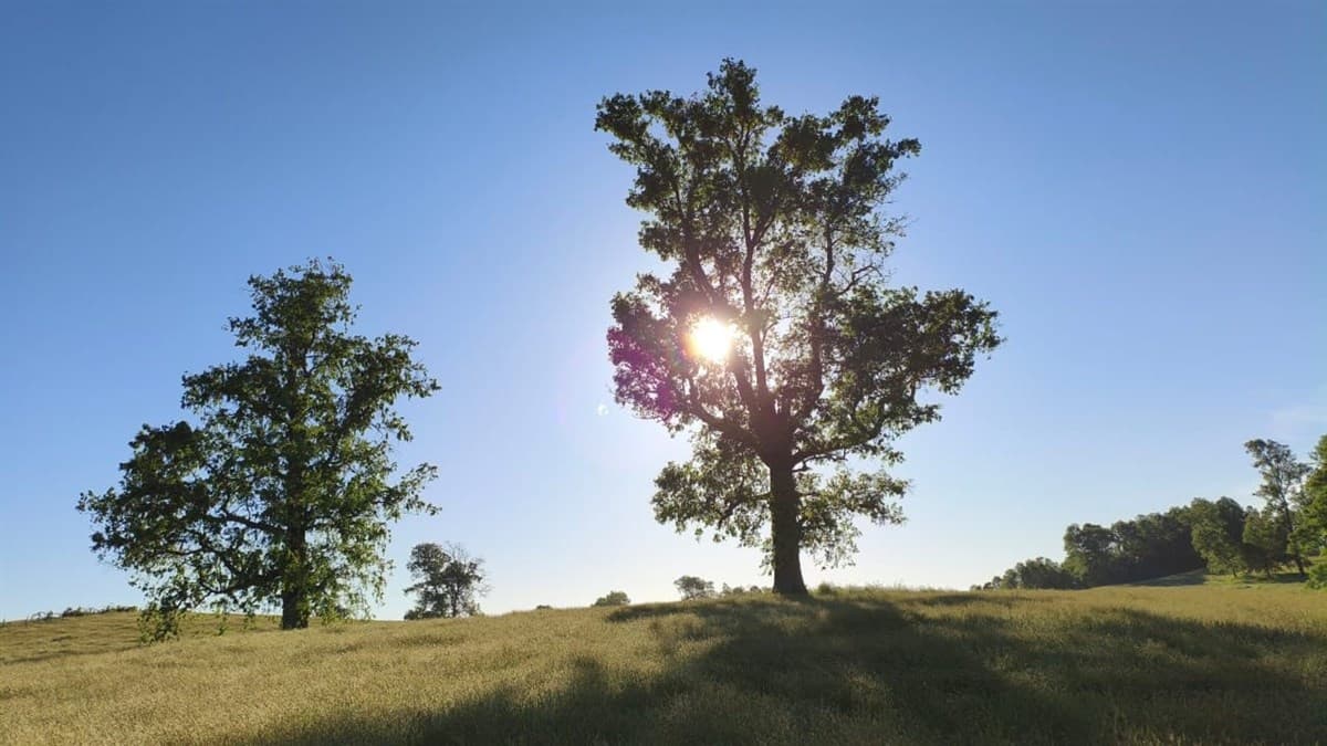 Condominio los Robles