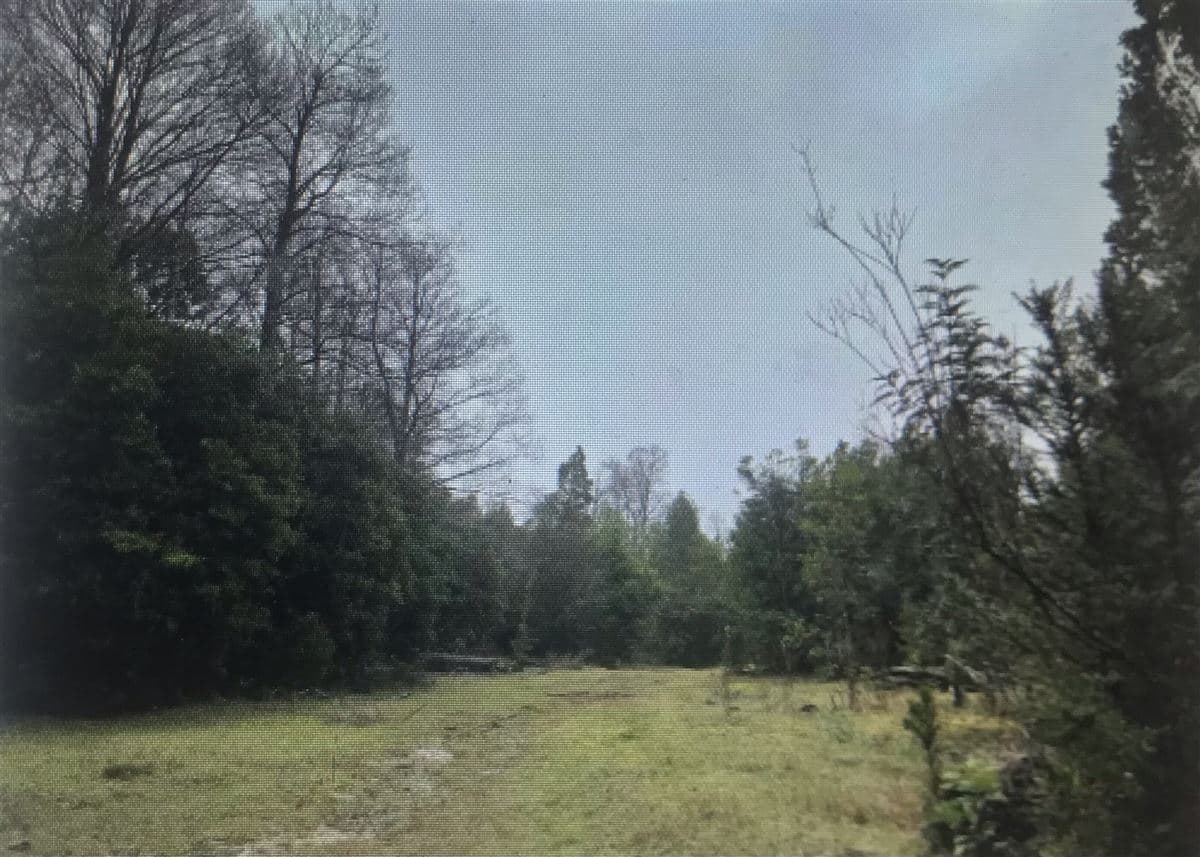 Parque Nacional Alerce Costero