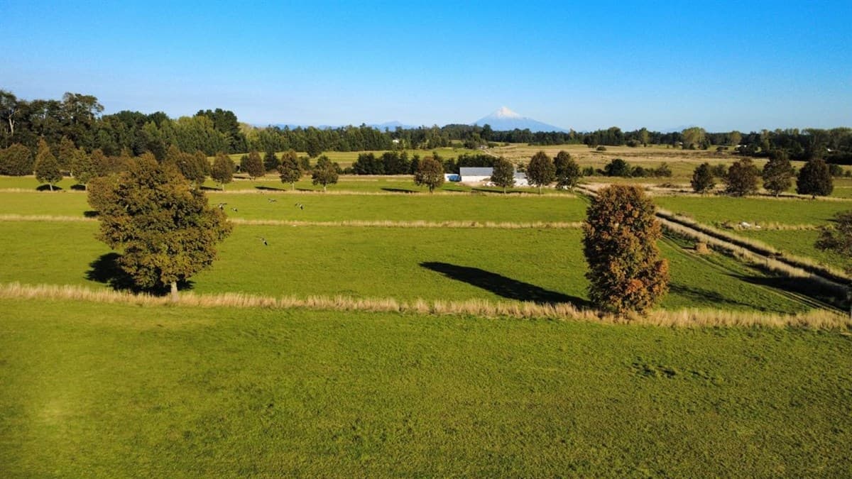 Sector Campo Lindo