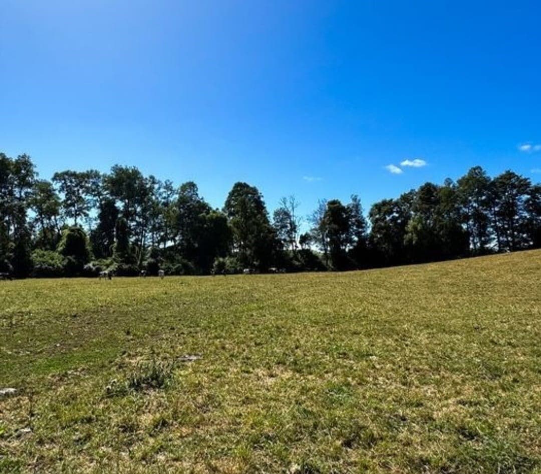 Camino Crucero Río Bueno a Vivanco