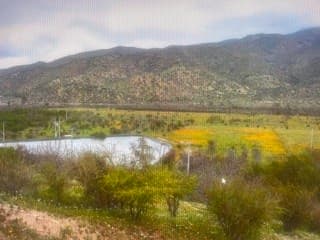 Sector Lepe km 13,6