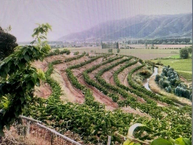 Santuario Las Palmas, Cocalan